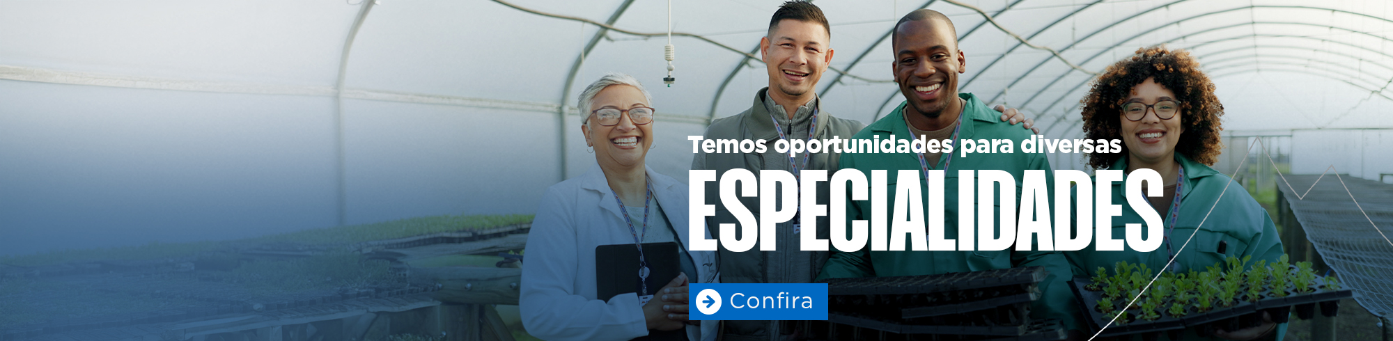 MGS abre novas oportunidades para cargos de nvel superior